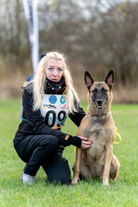 Дрессировка собак, кинолог