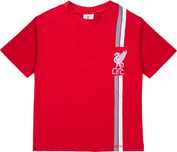 Футболка LFC Чорний флісовий снуд LFC Essentials.Для фанітів Ліверпуля