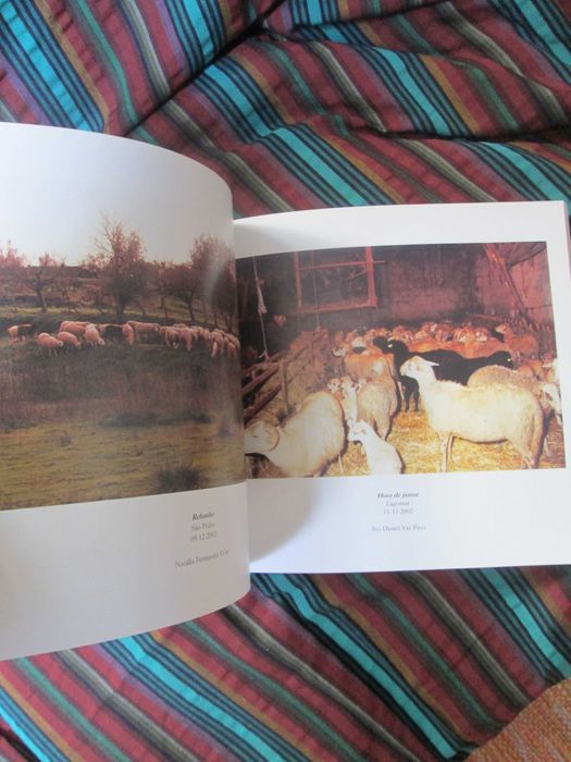 Gentes, Usos e Costumes de Bragança, de Isabel Lopes, Castro Alves