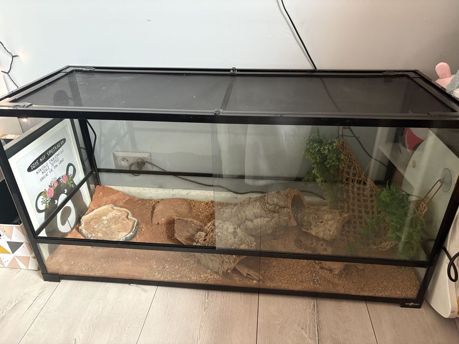 Terrarium dla gadów