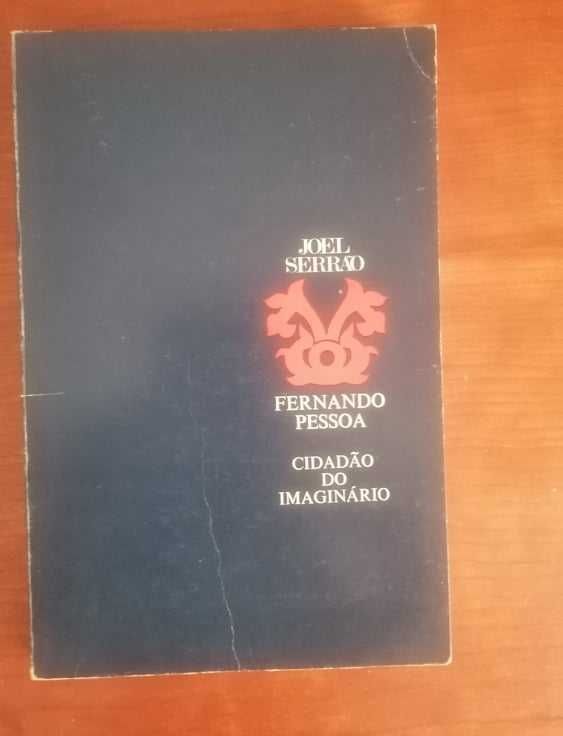 Vários livros sobre Fernando Pessoa
