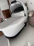 Alcofa nova cybex