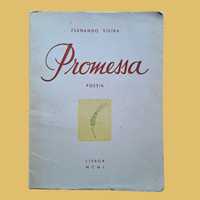 Promessa - Fernando Vieira