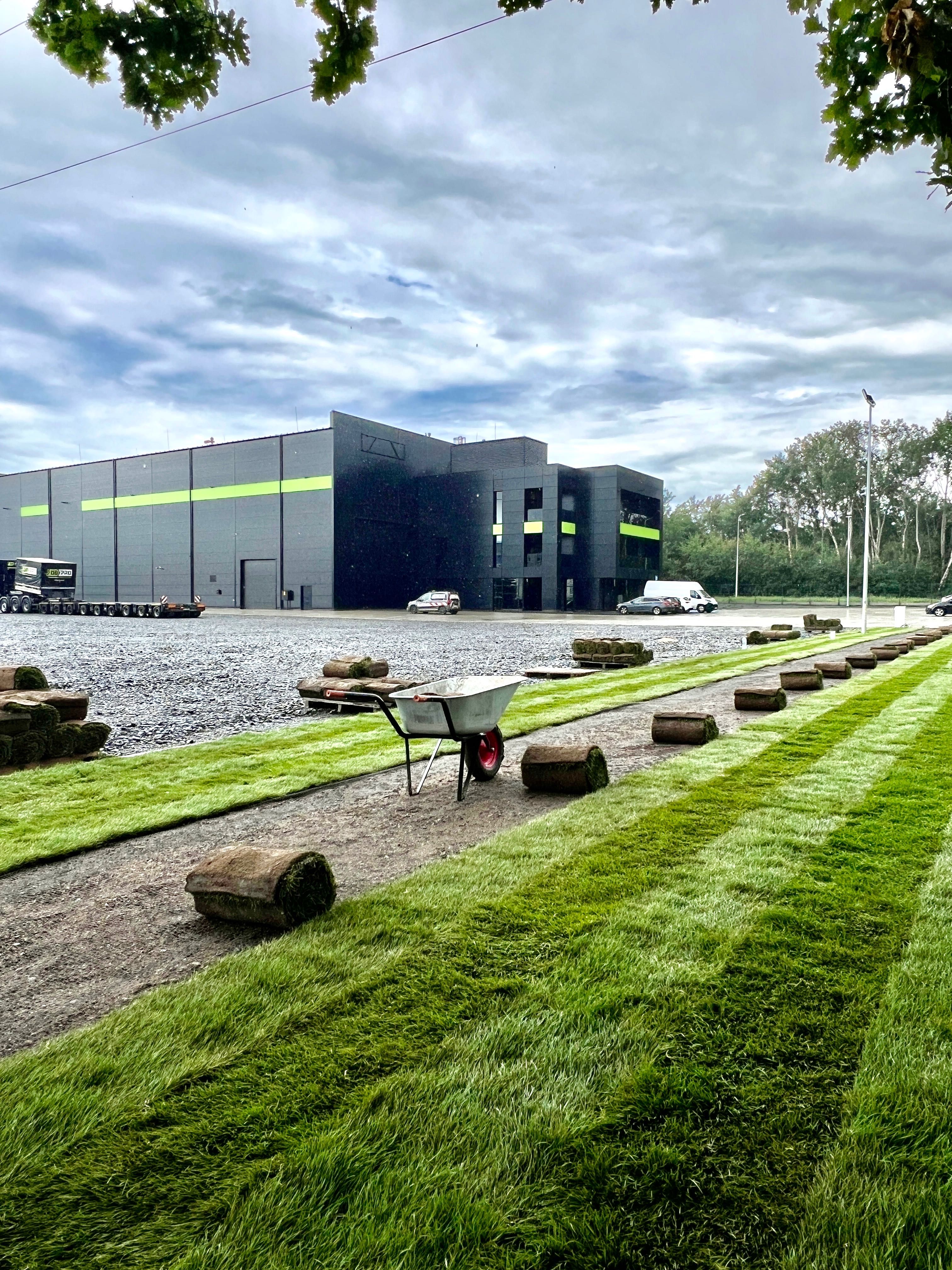 Zakładanie trawników, nawadnianie trawników-SZYBKI TERMIN