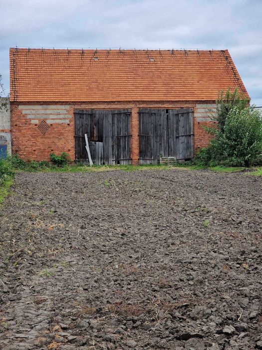 Wynajme dzialke 10 arów wraz ze stodołą w  miejscowosci Bodzewo.