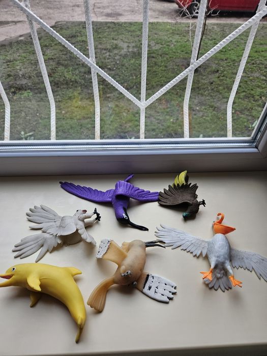 Sbabam тропічні звірі і птахи