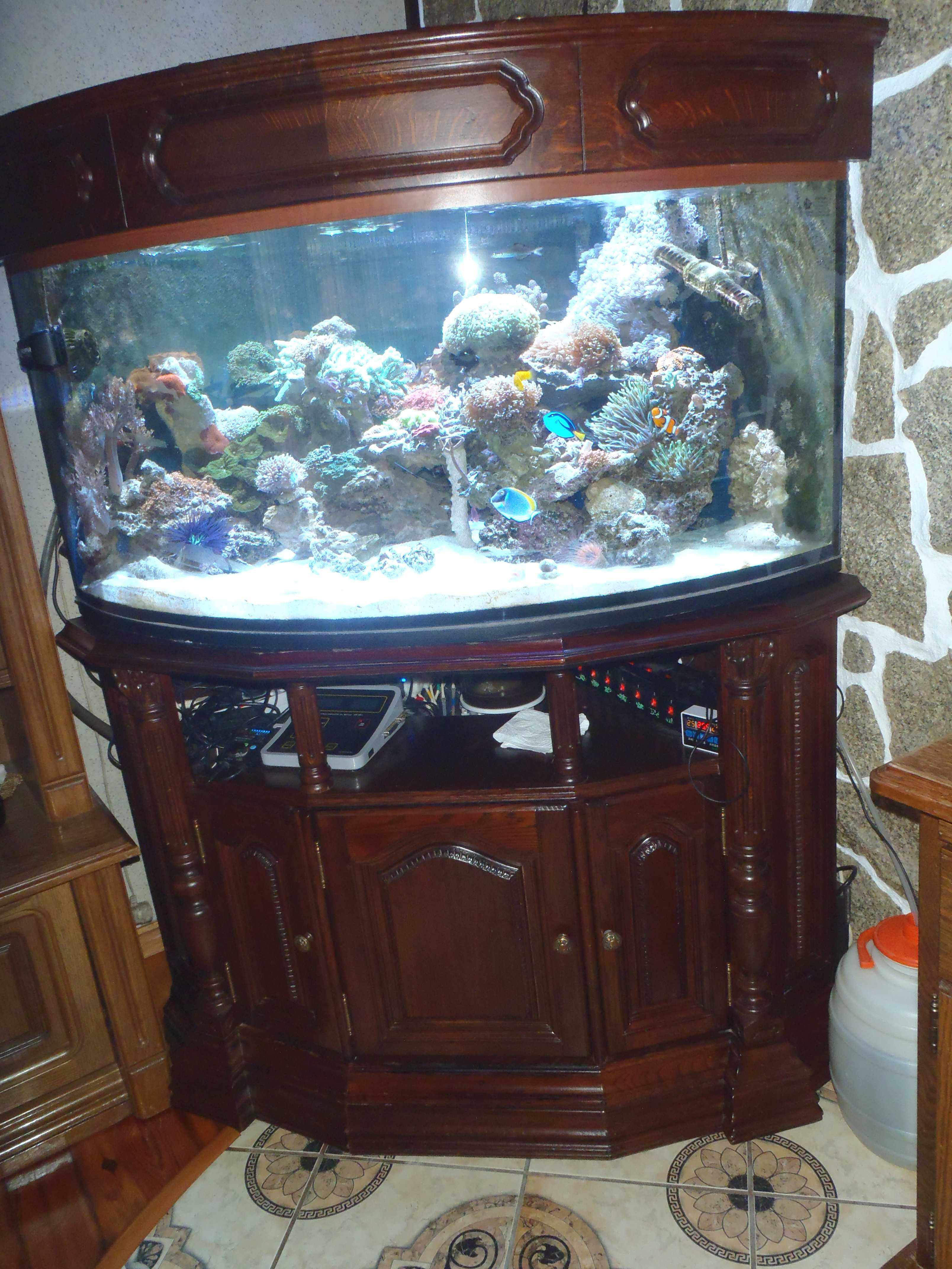 Akwarium morskie narożne 300l 90x90x55 z szafką + sump i osprzęt