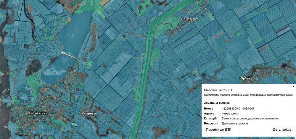 Земельна ділянка, 2,0 га, кад. 1225680500:01:002:0093, Царичанський р.
