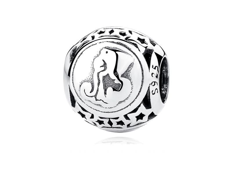 Srebrna Przywieszka Charms Znak Zodiaku Wodnik Bead16