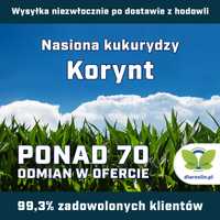 Kukurydza Korynt C1, opak. 50 tys. nas. | dlaroslin.pl