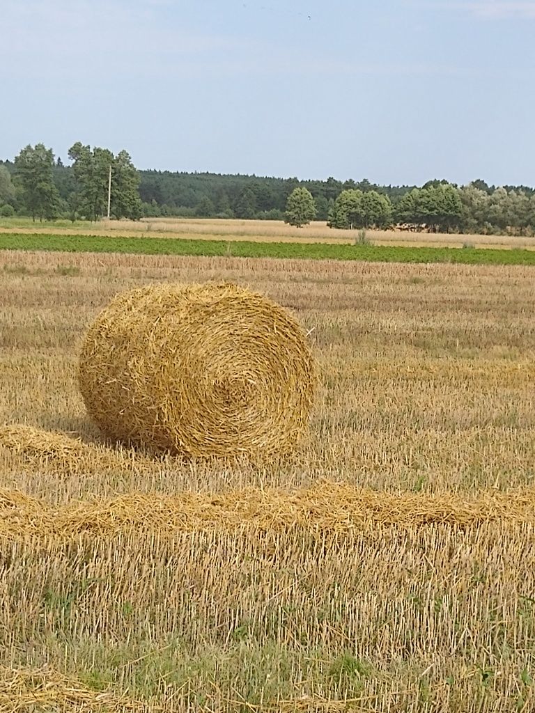 Prasa rolującą Hesston 5580