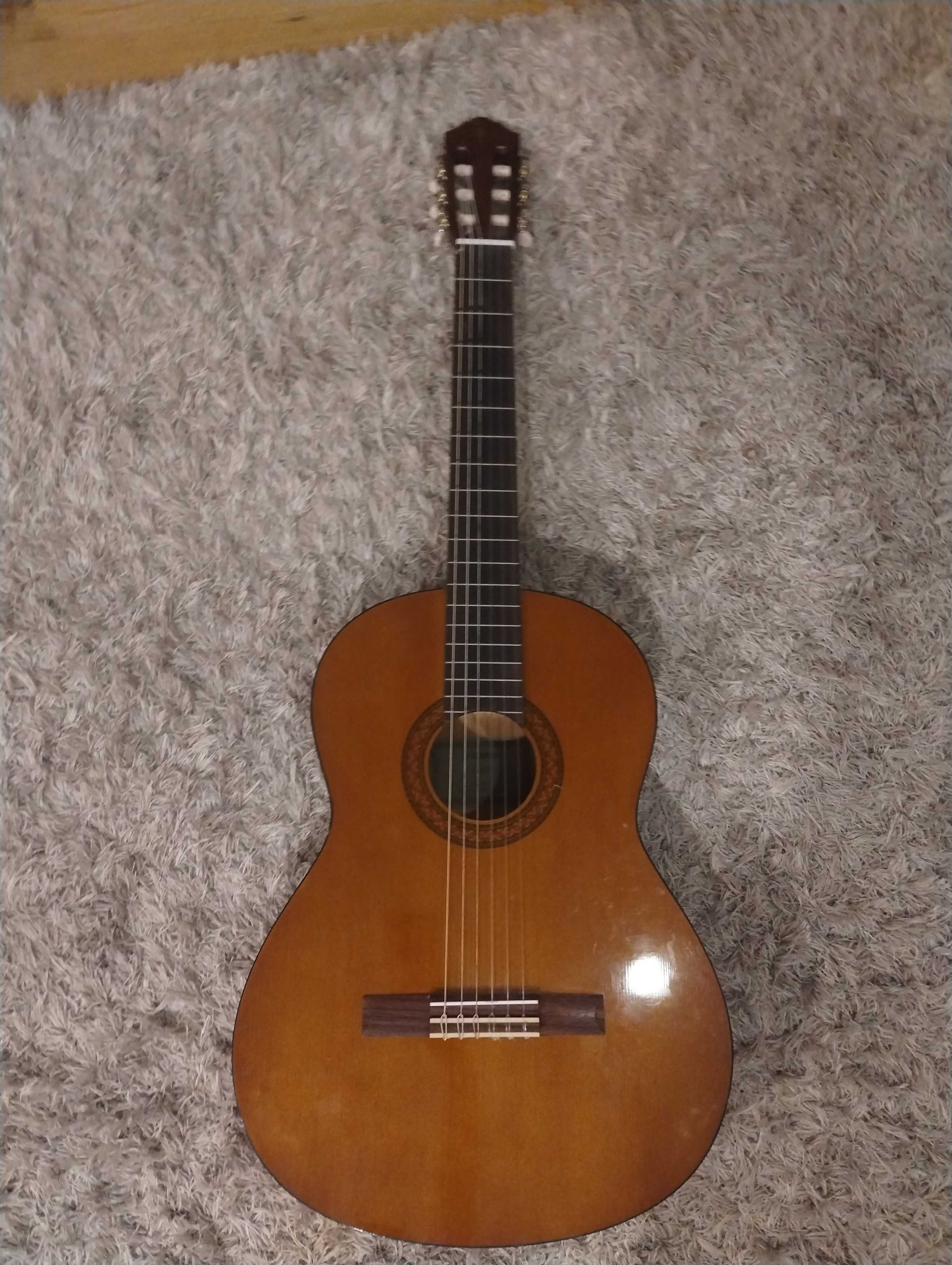 GITARA Yamaha, dla początkujących gitarzystów i muzyków