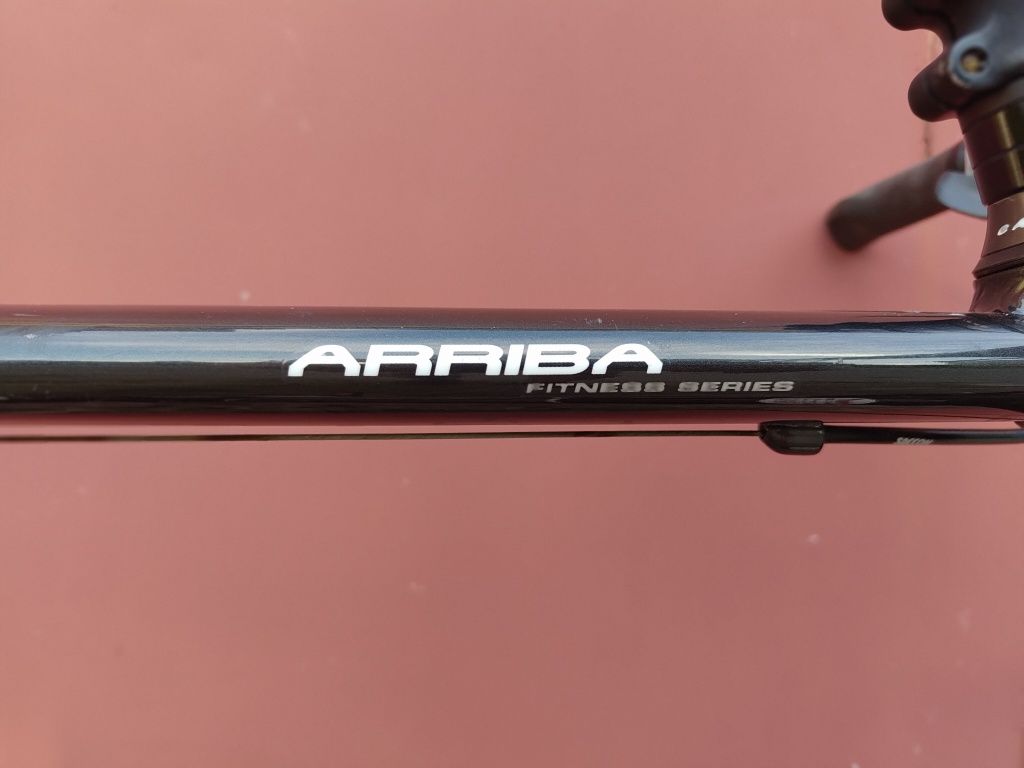 Rower FOCUS ARRIBA L / XL koło 28
