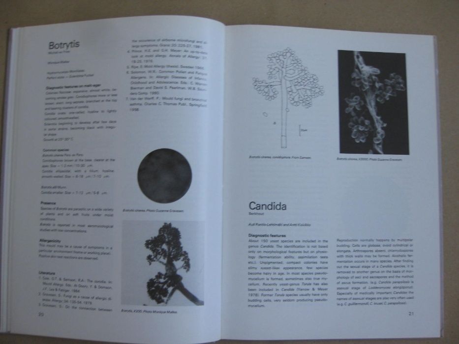 Atlas of moulds in Europe causing respiratory allergy