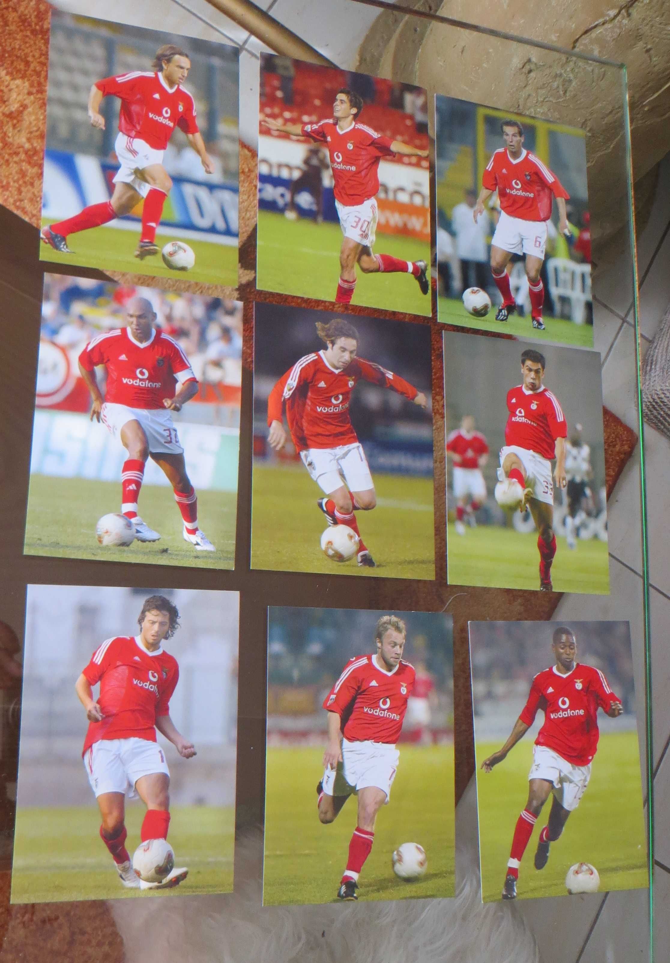 Coleção completa de 23 postais do Plantel Benfica - Época 2003 / 2004