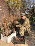 Саджанці Винограду (РОЗПРОДАЖ)