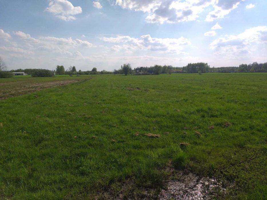 Działka 2,79 ha wydane Warunki zabudowy , media w działce