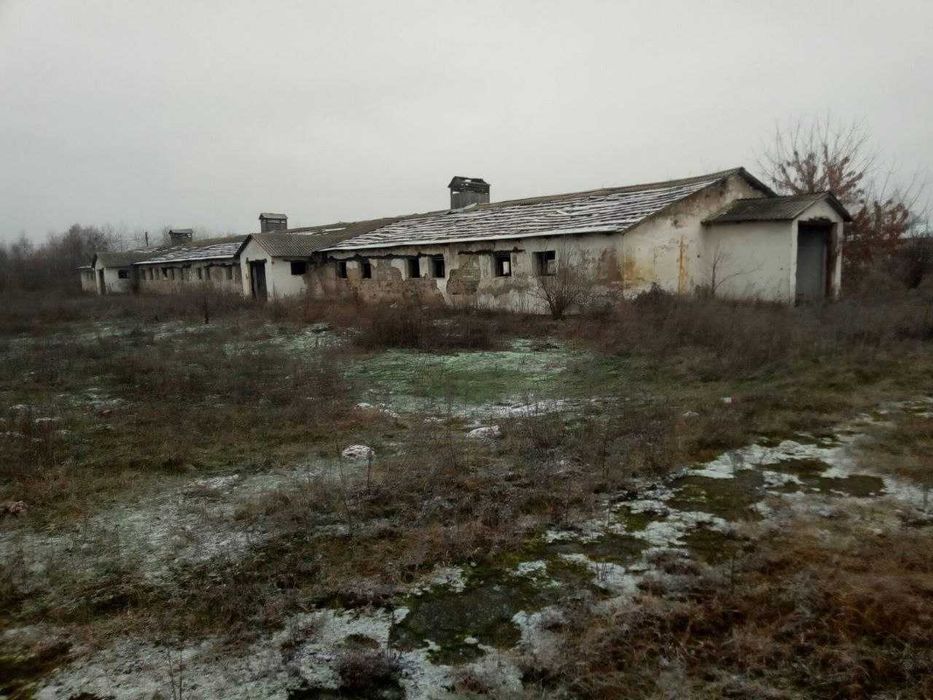Ферма. Корівники. Будівлі. Тваринницький комплекс. Ділянка 2,8 га.