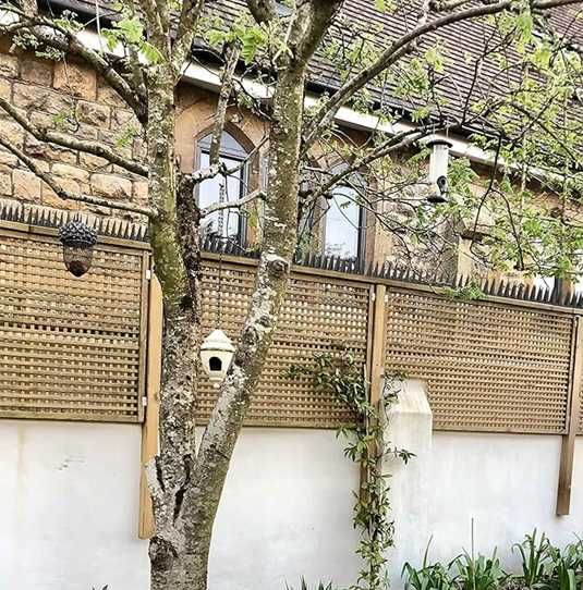 Gęste mocne kolce na ptaki gołębie 49 cm na płot balkon dach 12 szt