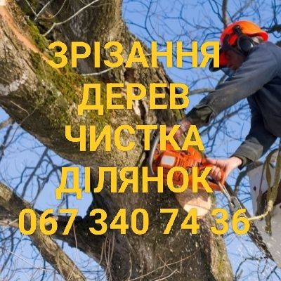 Розчистка земельних ділянок