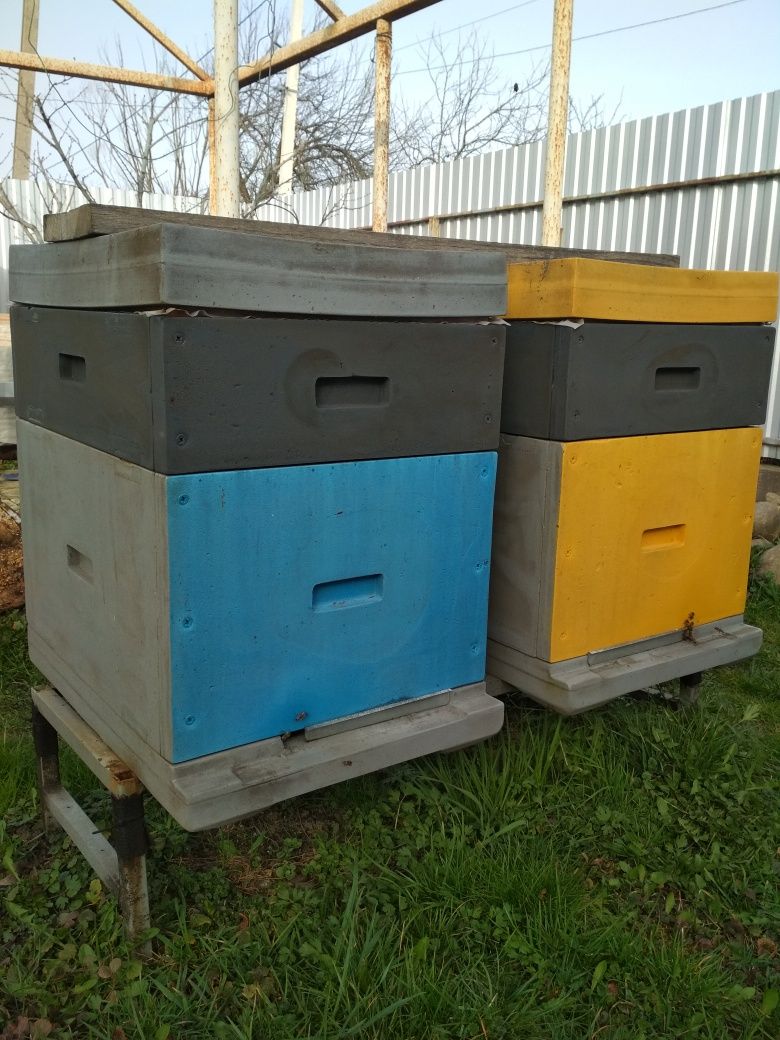 Бджолосімя, пакет, бджоли, бджолині матки