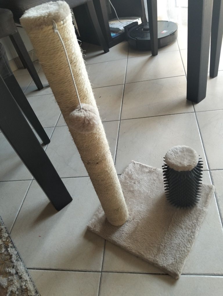 Arranhador gato semi novo