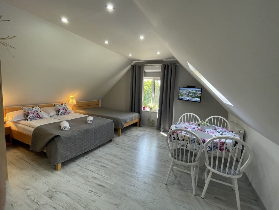 Pokoje + przewodnik po Puszczy Białowieskiej