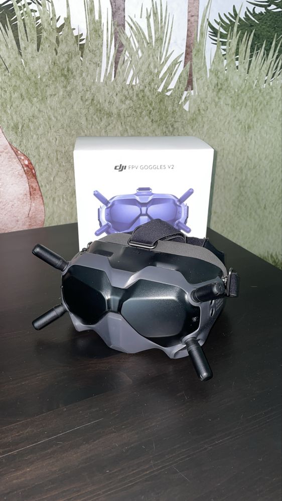 Dji FPV Goggles V2