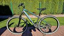 Rower Kands 17" koła 29