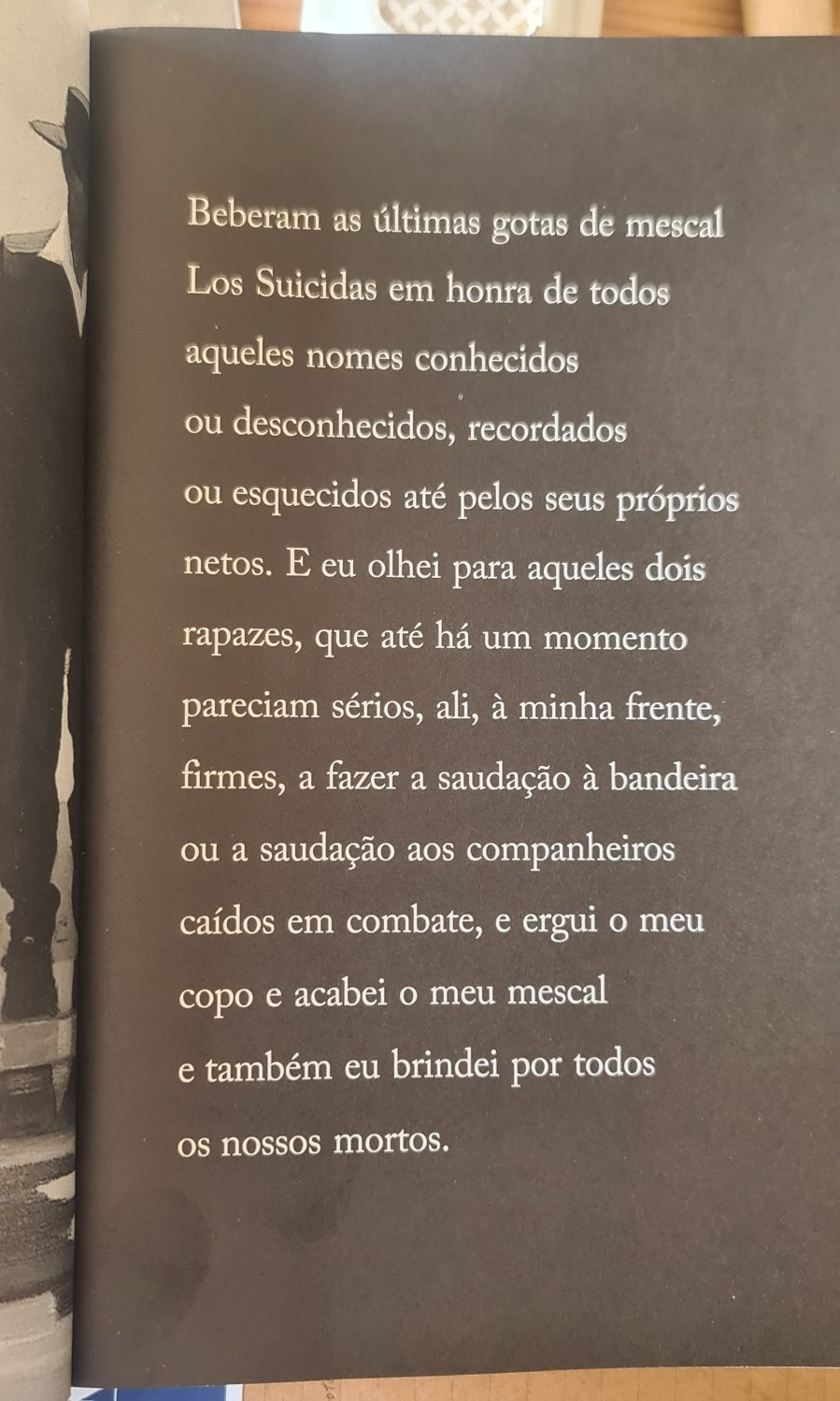 Detetivas Selvagens - Roberto Bolano
