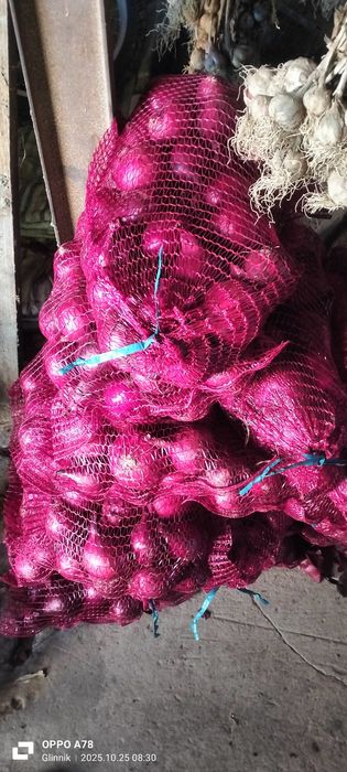 Cebula czerwona worek 5kg