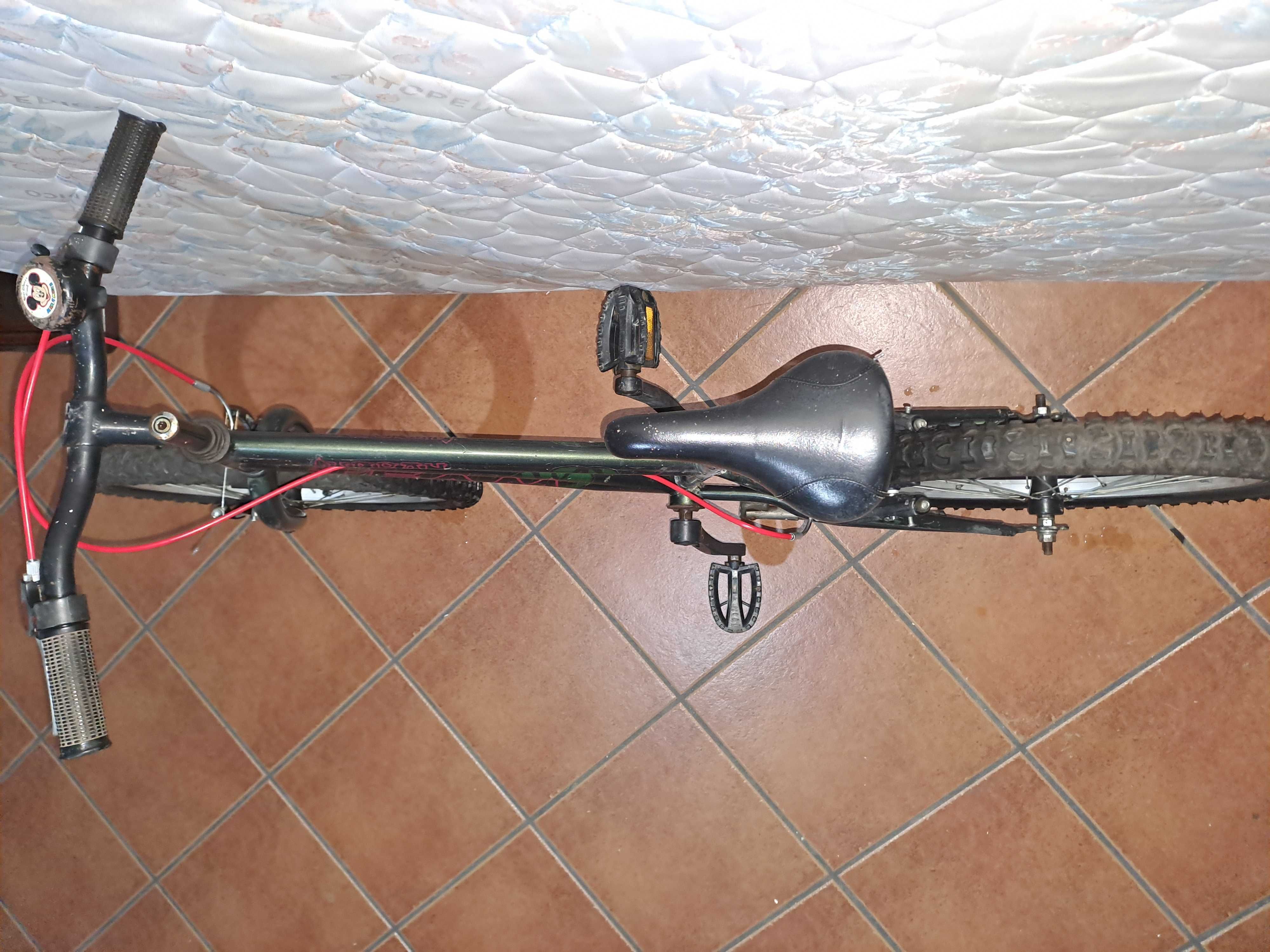 Bicicleta criança +6 anos, aro 20"