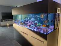 Akwarium morskie 1000l