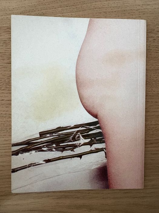 RAUL SIMÕES PINTO - P*tas À Moda Do Porto livro novo