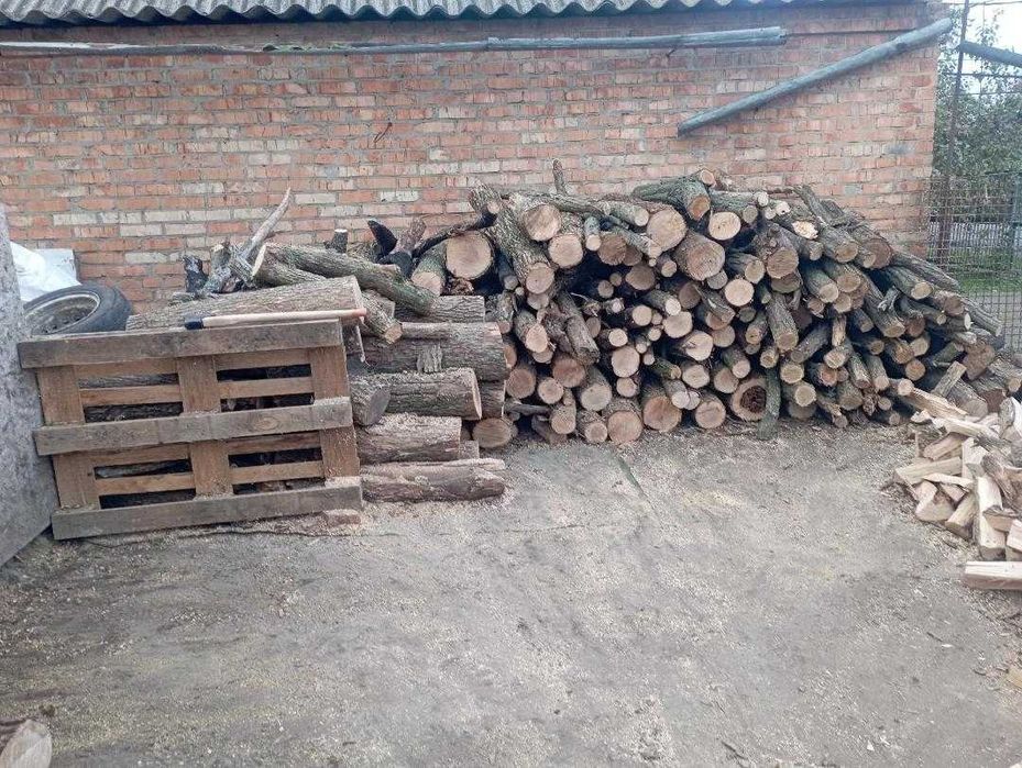 Продам дрова всех видов