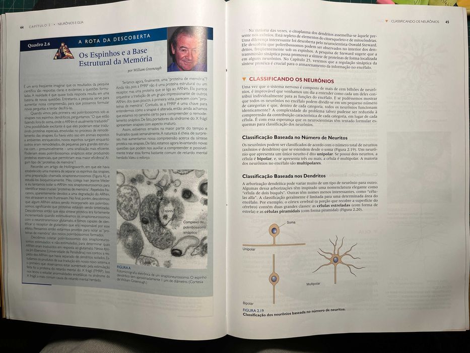 Livro "Neurociências - Desvendando o Sistema Nervoso" ed. artmed