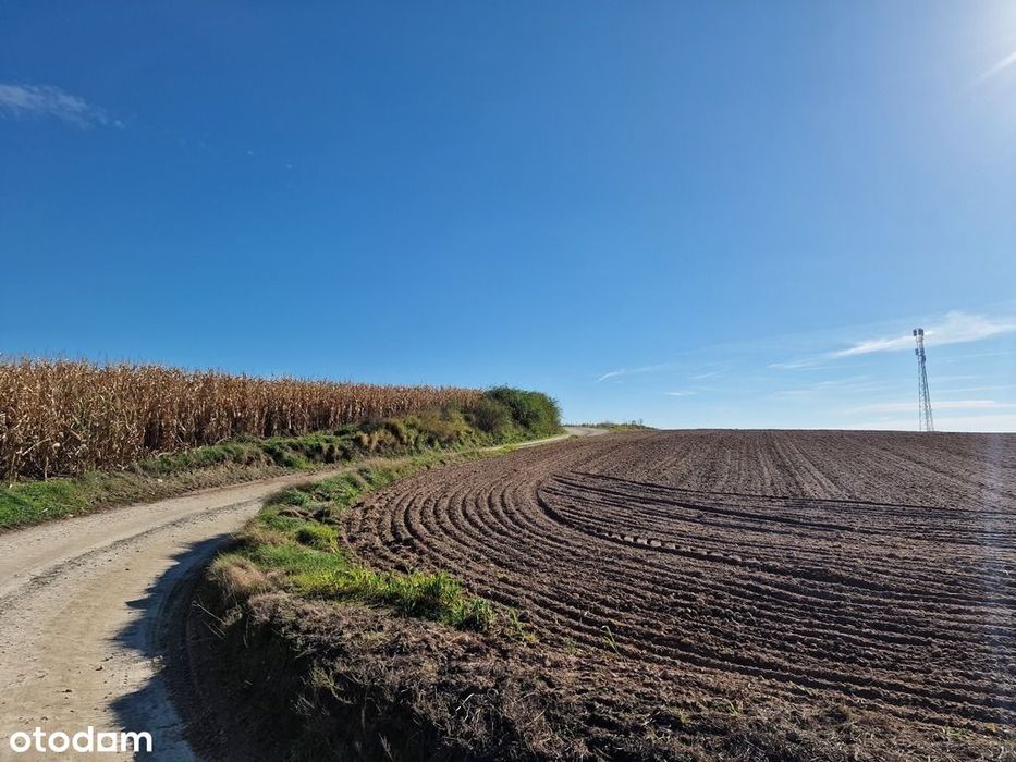 Duża działka w spokojnej okolicy