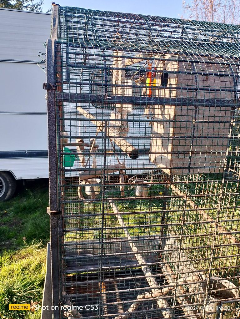 Bardzo duża klatka dla papug