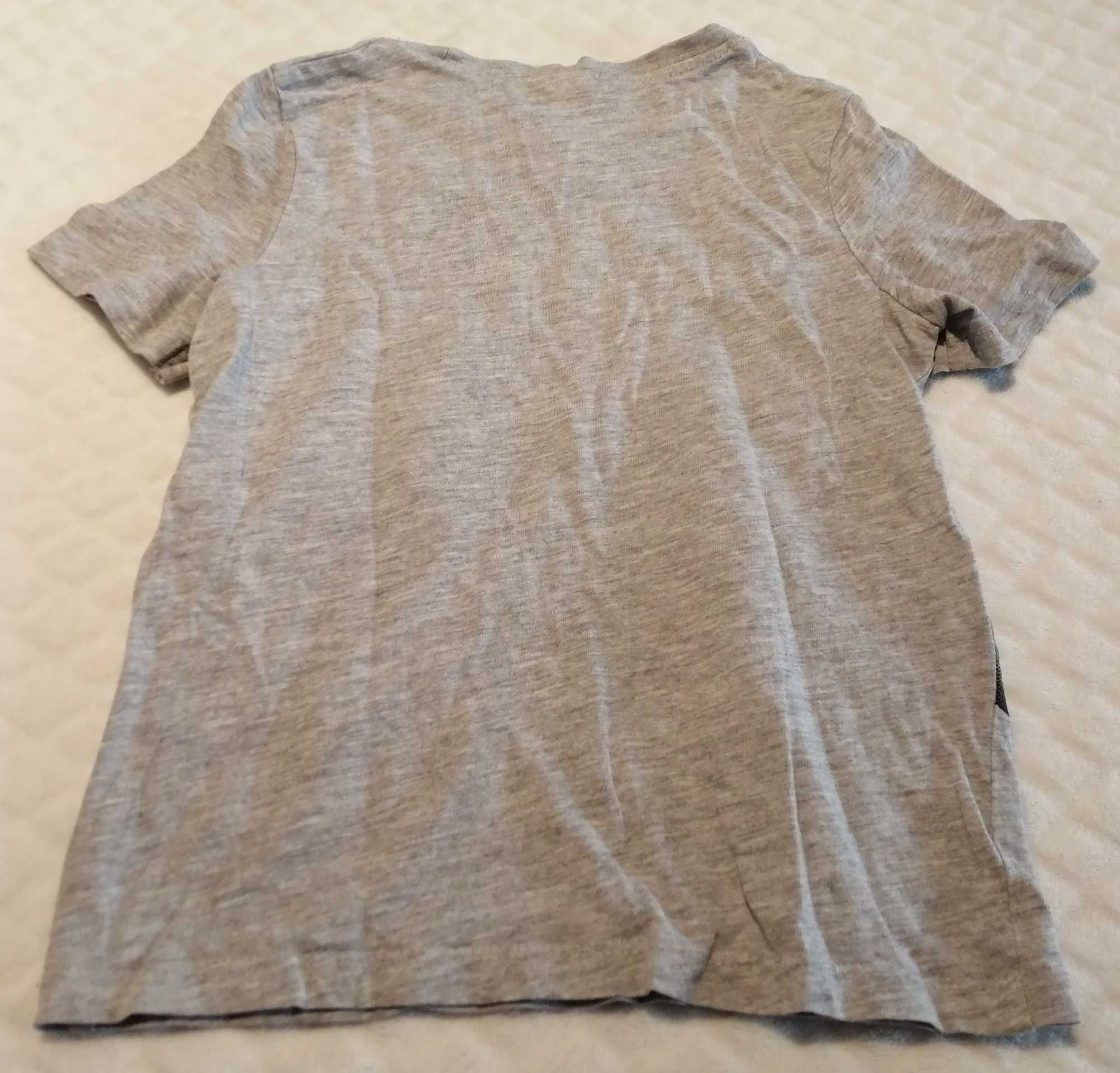 Koszulka, krótki rękaw, T-shirt, dinozaury, 116, C&A (Odzież)