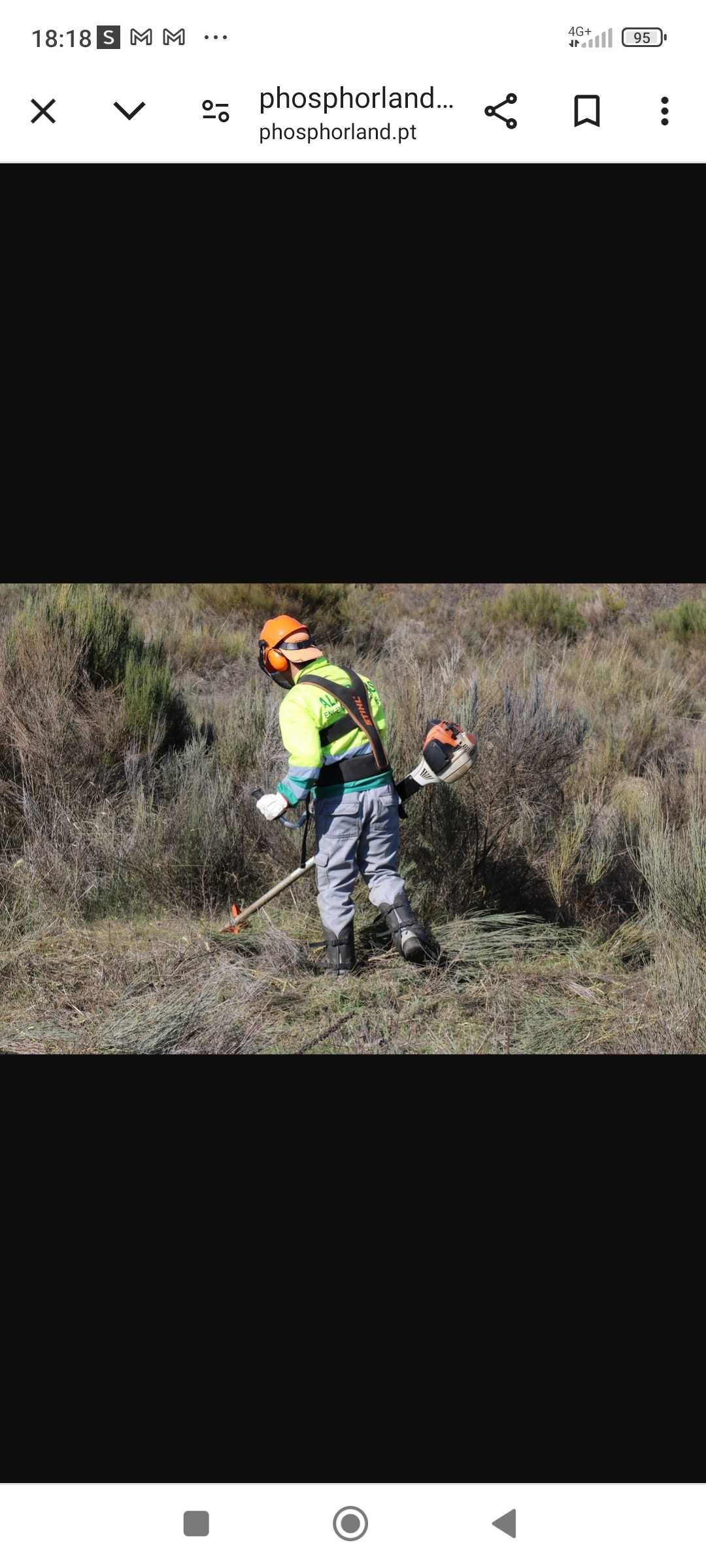 Fazemos todo tipo de trabalho limpeza e terrenos