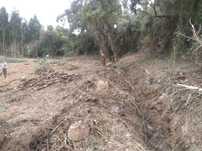 Limpeza de terrenos