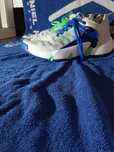 Ténis de basquete adidas ( trae unlimited)