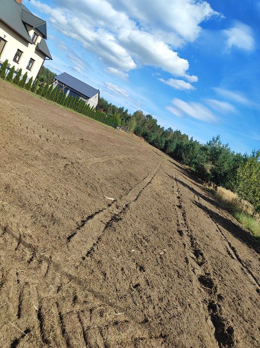 Usługi mulczarskie, oczyszczanie nieużytków, koszenie, karczowanie