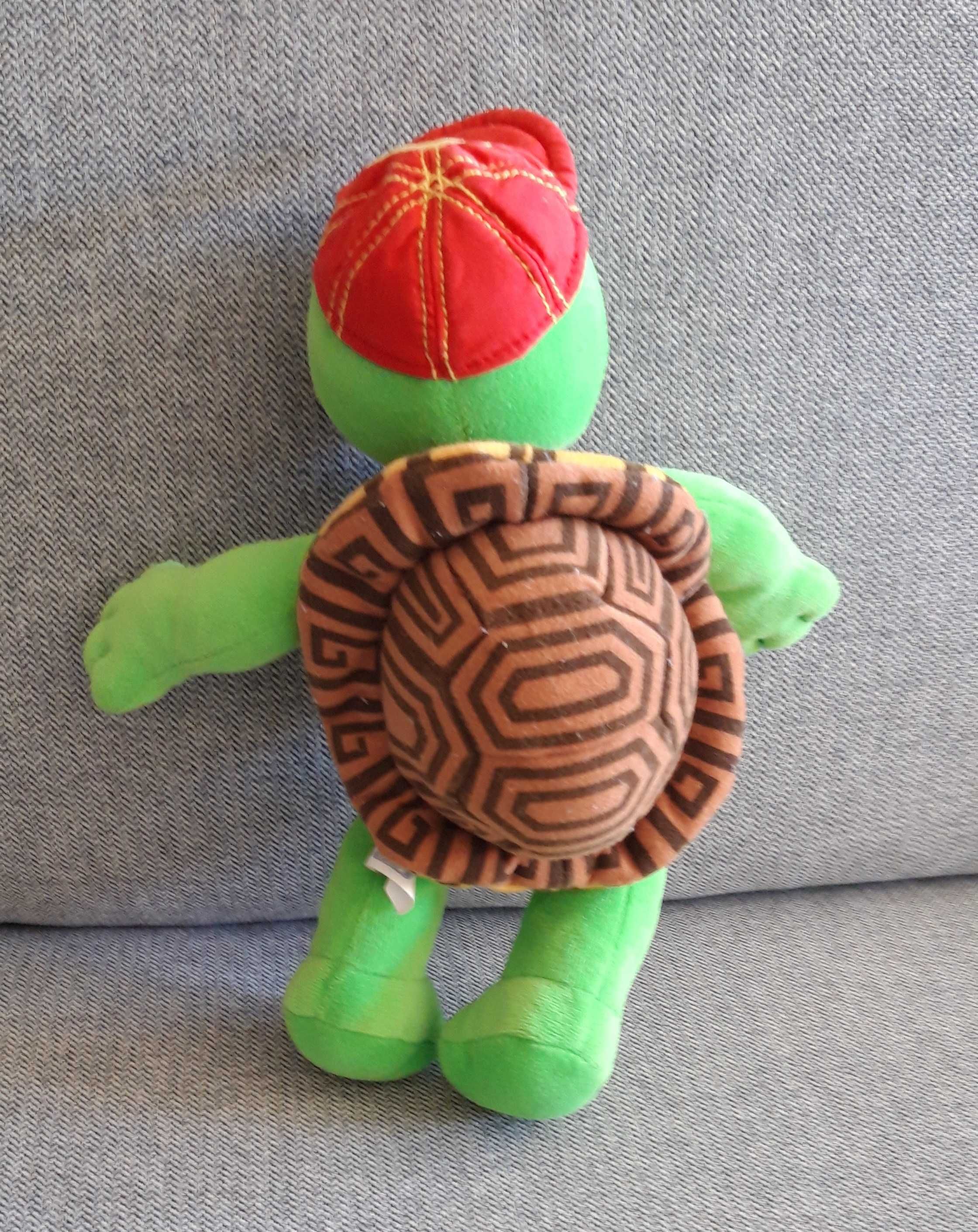 Peluche Tartaruga Franklin