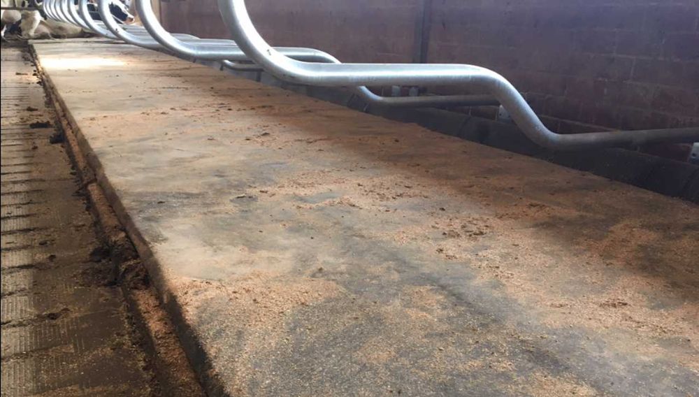 Maty materace dla krów legowiskowe legowiska centrumrolnictwa.pl