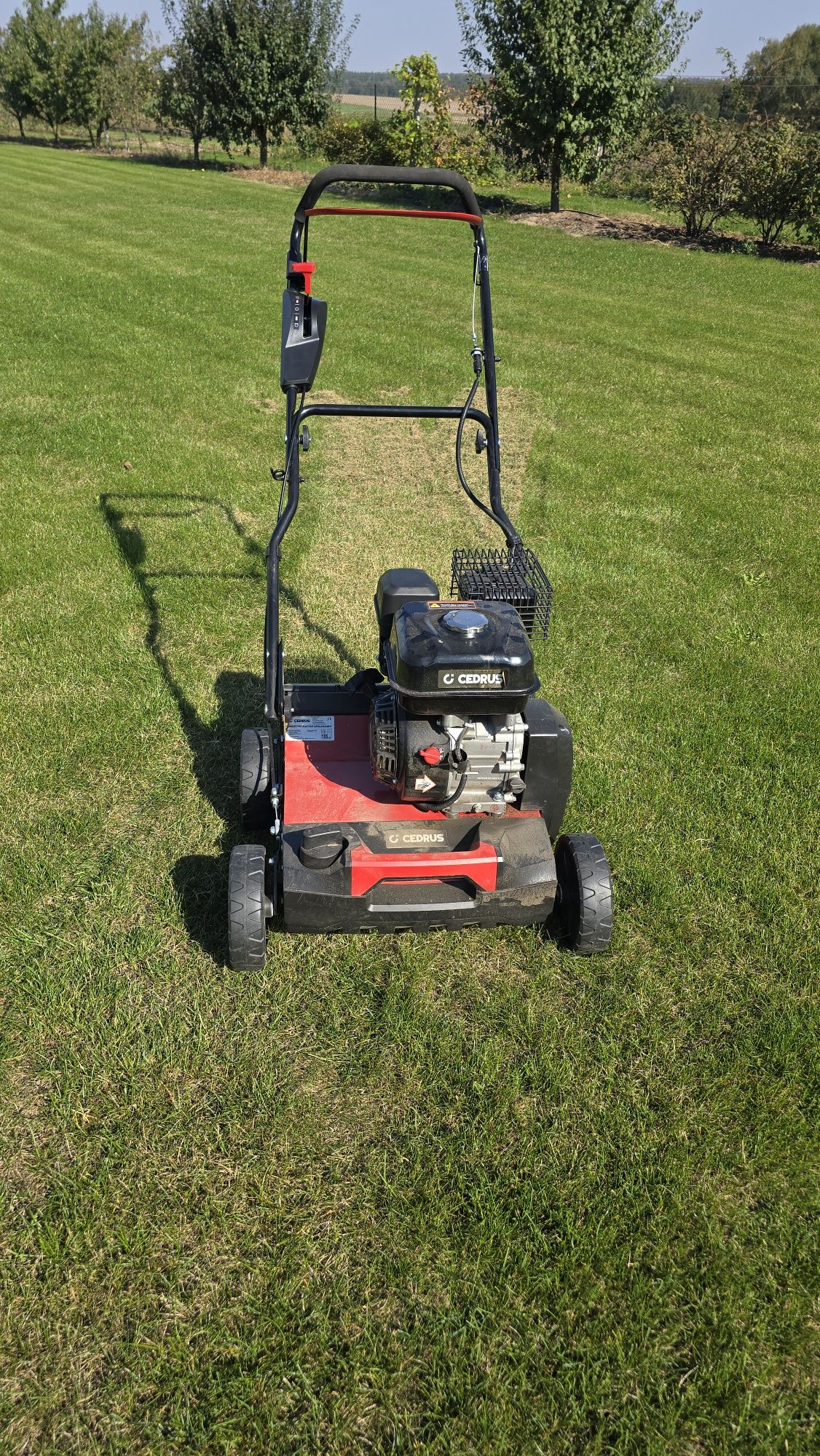 Aerator wertykulator z koszem walec wynajem wypożyczenie