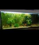 Sprzedam Akwarium! 450l