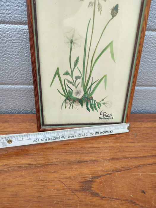 Obraz - Akwarela - Botanika - Botanica - Design - ręcznie malowana - G