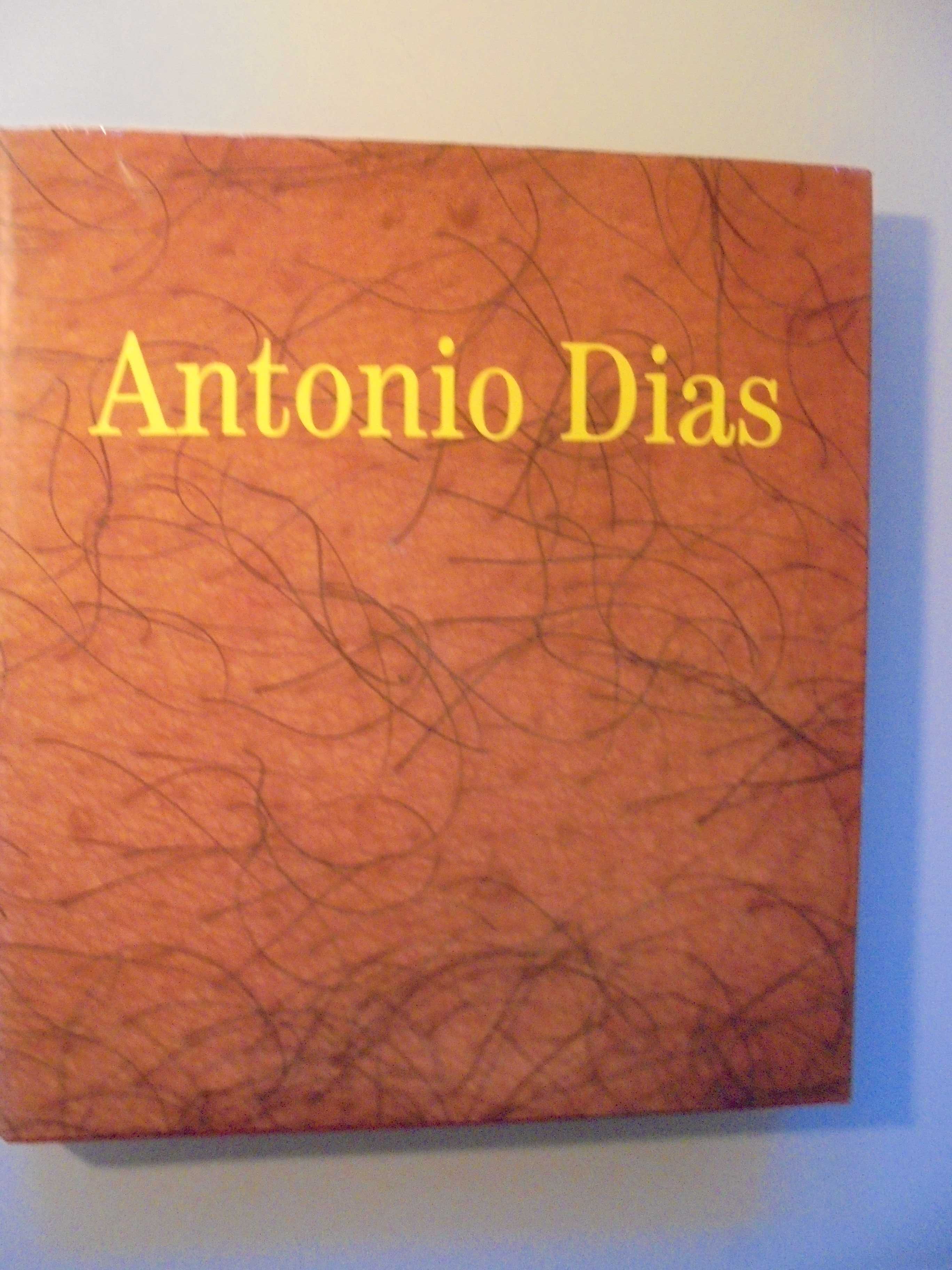 António Dias;Fundação Caloust Gulbenkian,1990,