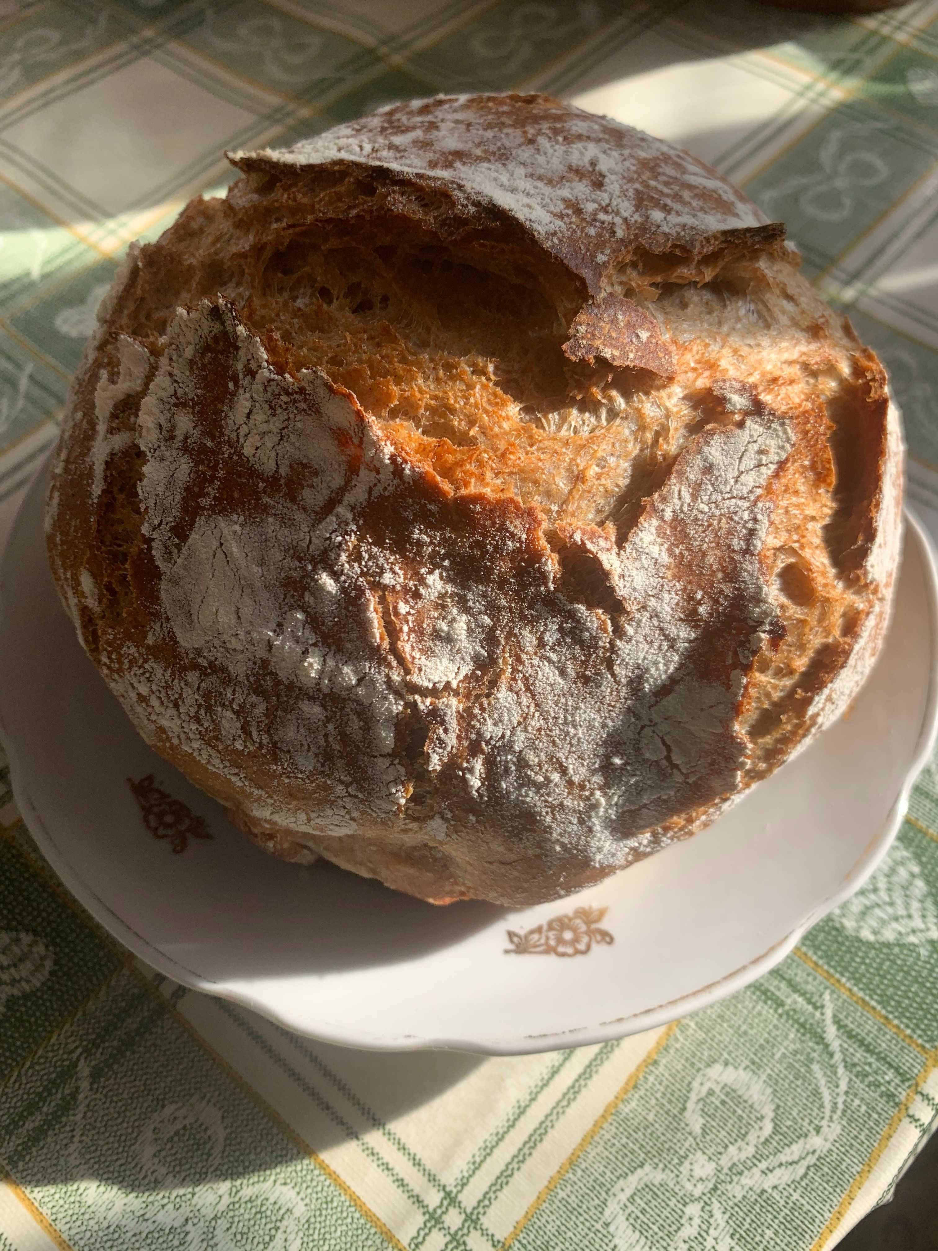 продам закваску ржаную и левито мадре(пшеничная).